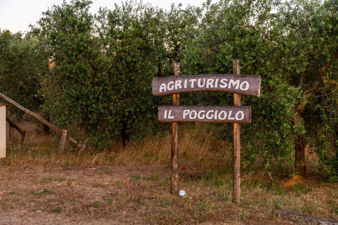 Agriturismo Il Poggiolo Villa Grosseto Ngoại thất bức ảnh